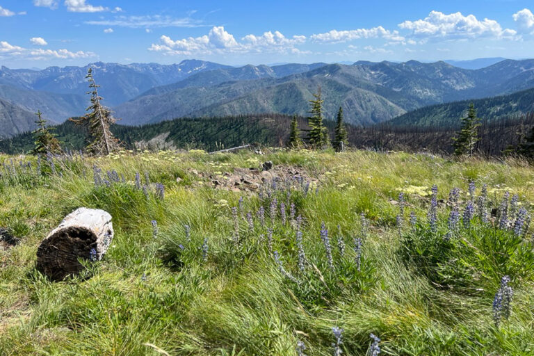 2024 Roundtop Mountain Idaho Trails Association