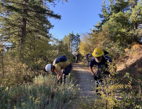 Trail Spotlight: Upper Dry Creek, Shingle Creek Loop