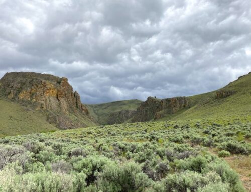 Trail Spotlight: Perjue Canyon