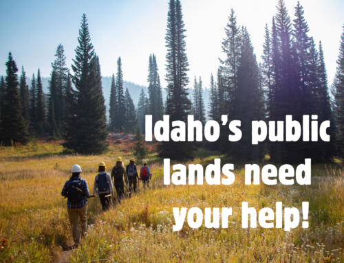 Idaho’s public lands need your help!