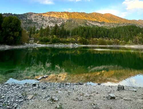 Trail Spotlight: Upper Palisades Lake Trail