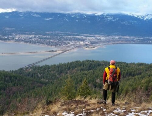 Trail Spotlight: Gold Hill Trail #3 (Snowshoe Edition)