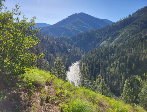 Trail Spotlight: Sixty-Two Ridge