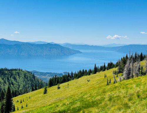 Trail Spotlight: Beetop/Roundtop