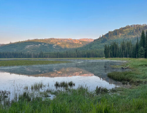 Trail Spotlight: Deep Creek-Upper Payette Loop