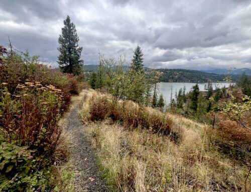 Trail Spotlight: Fernan Lake Natural Area
