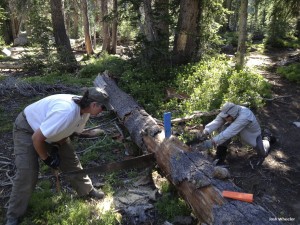 Working the crosscut